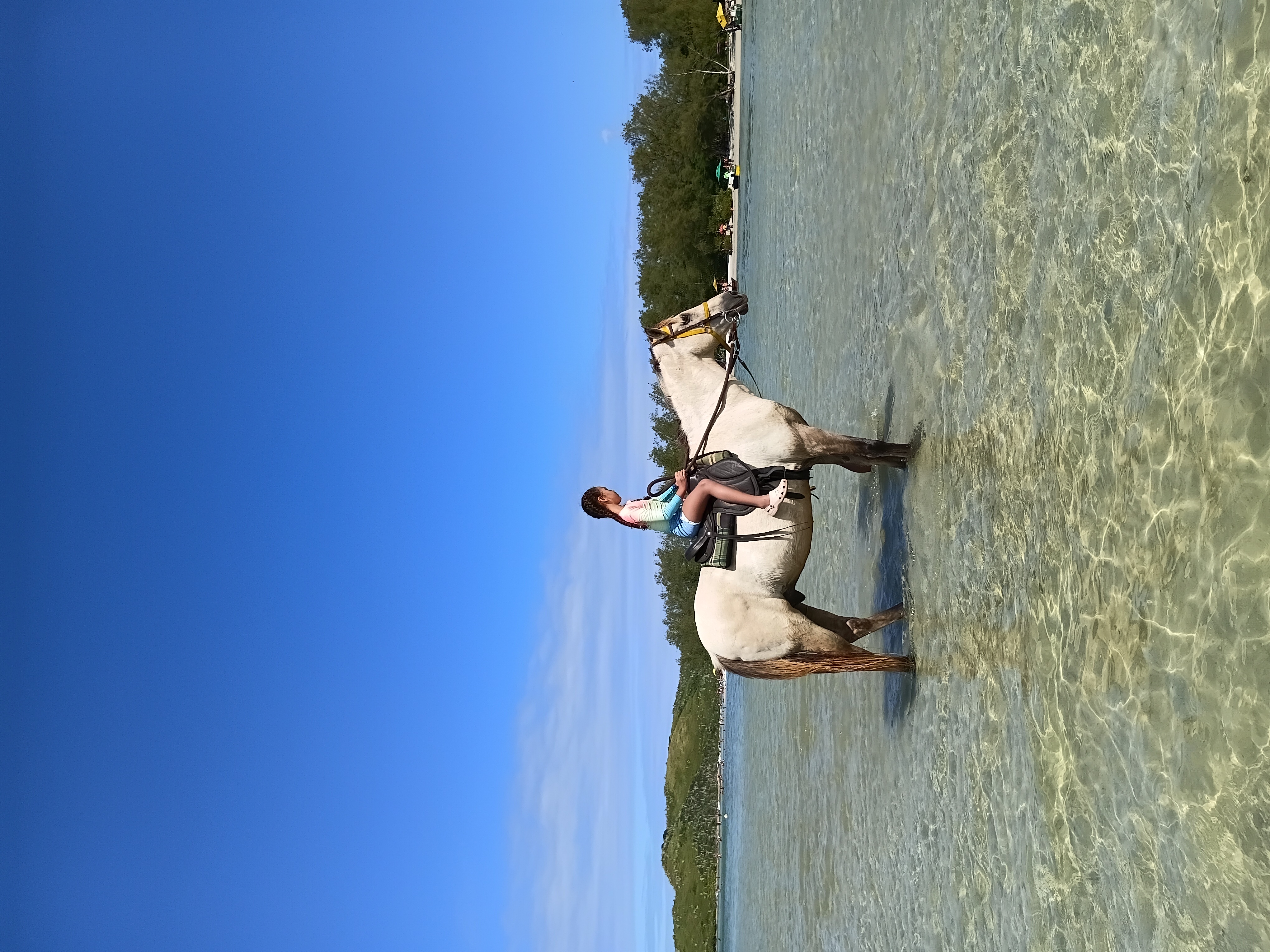 Alternative Tour | Passeio a Cavalo — foto 16